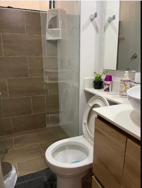 Luareles-san Joaquin-balcon Apartment Medellin