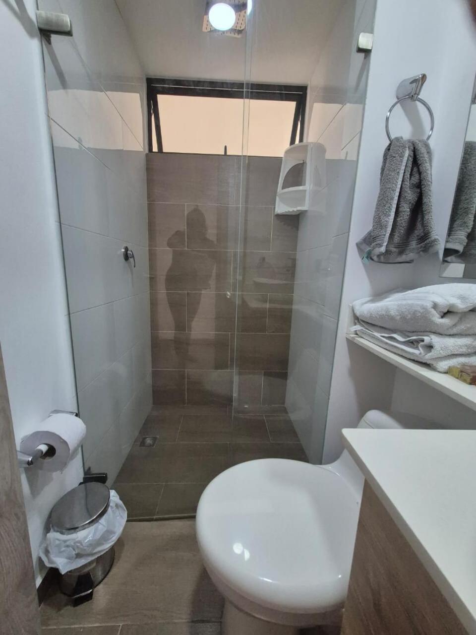 Luareles-san Joaquin-balcon Apartment *